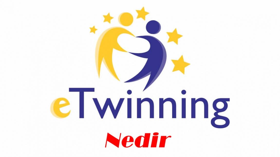 eTwinning Nedir?